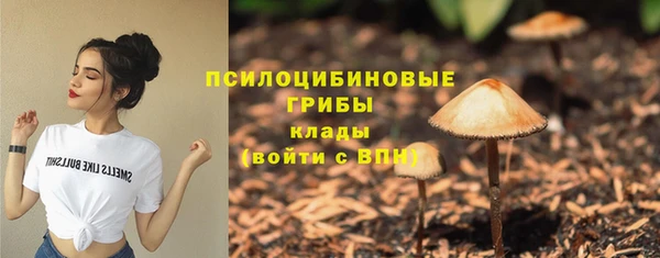 СК Абдулино