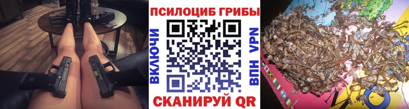 блэк спрут ONION  где купить наркоту  Цимлянск  Псилоцибиновые грибы Cubensis 